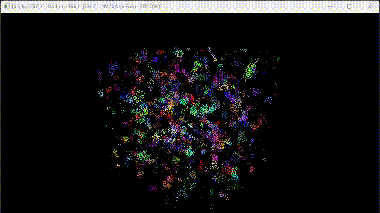 10k Boids simulation
