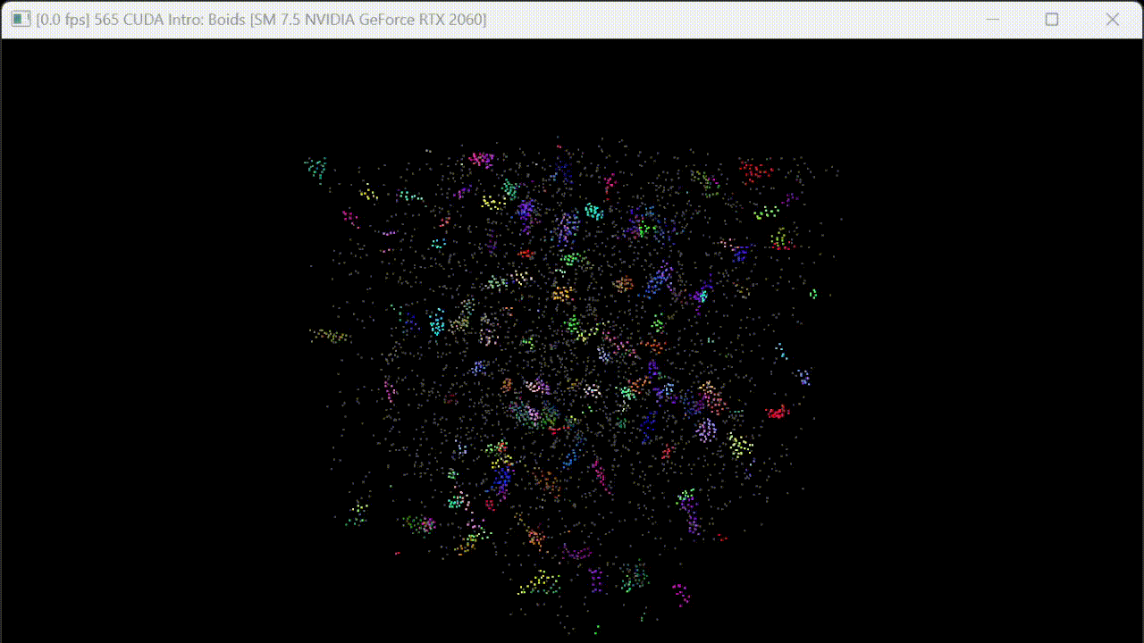 5000 Boids simulation